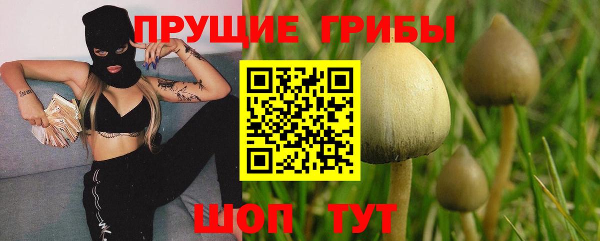 Кузнецк  Псилоцибиновые грибы мицелий  Вход с VPN  Галлюциногенные грибы ЛСД 